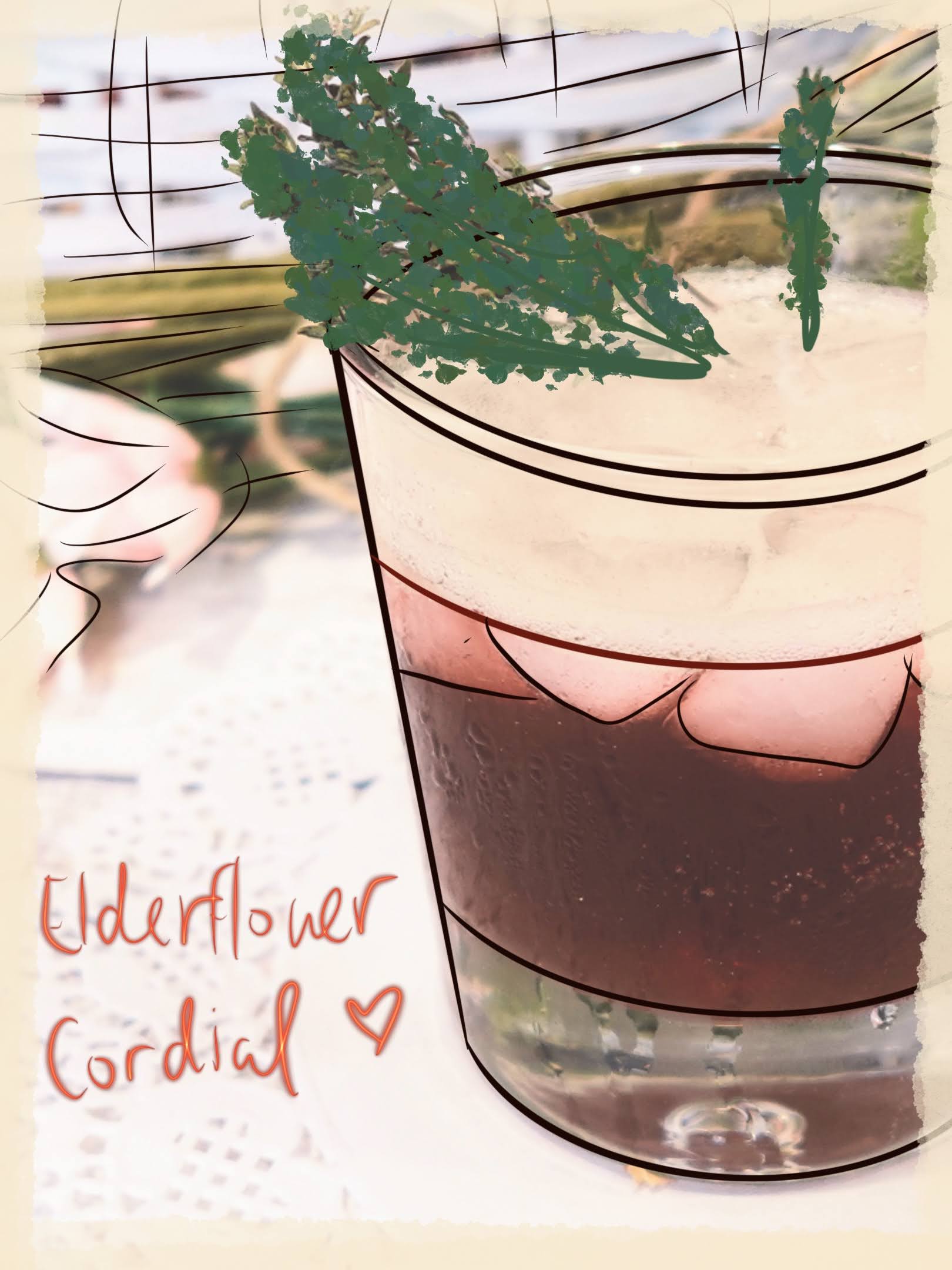 💮Elderflower Cordial 🍷🍯